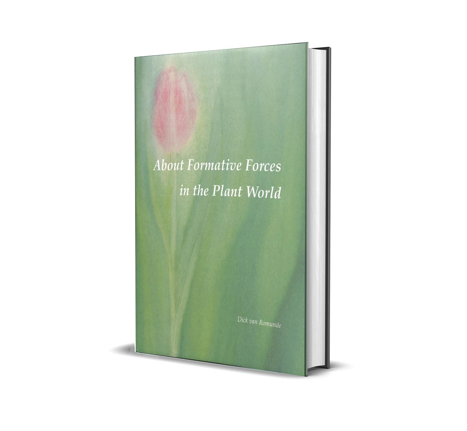 Formative Forces in the Plant World
